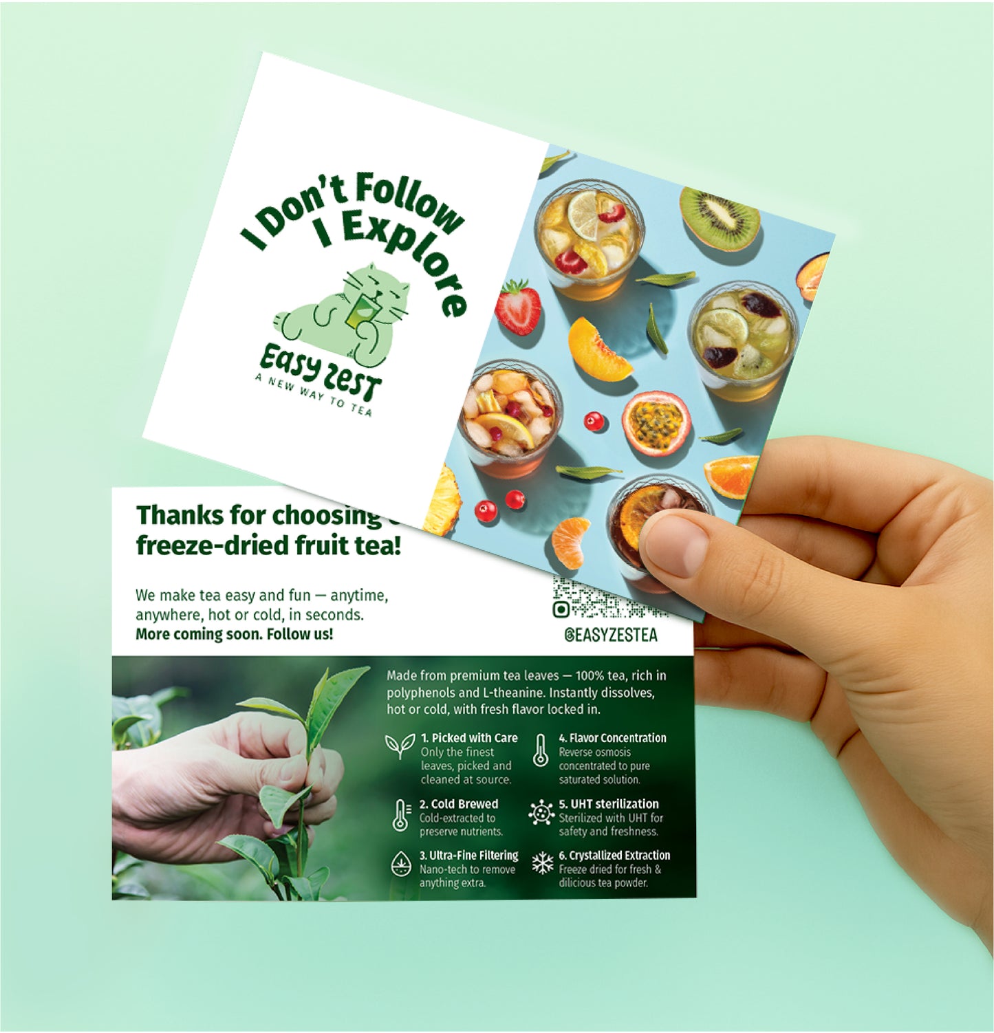 Kiwi Jasmine Green Tea (10 Sachets Box)