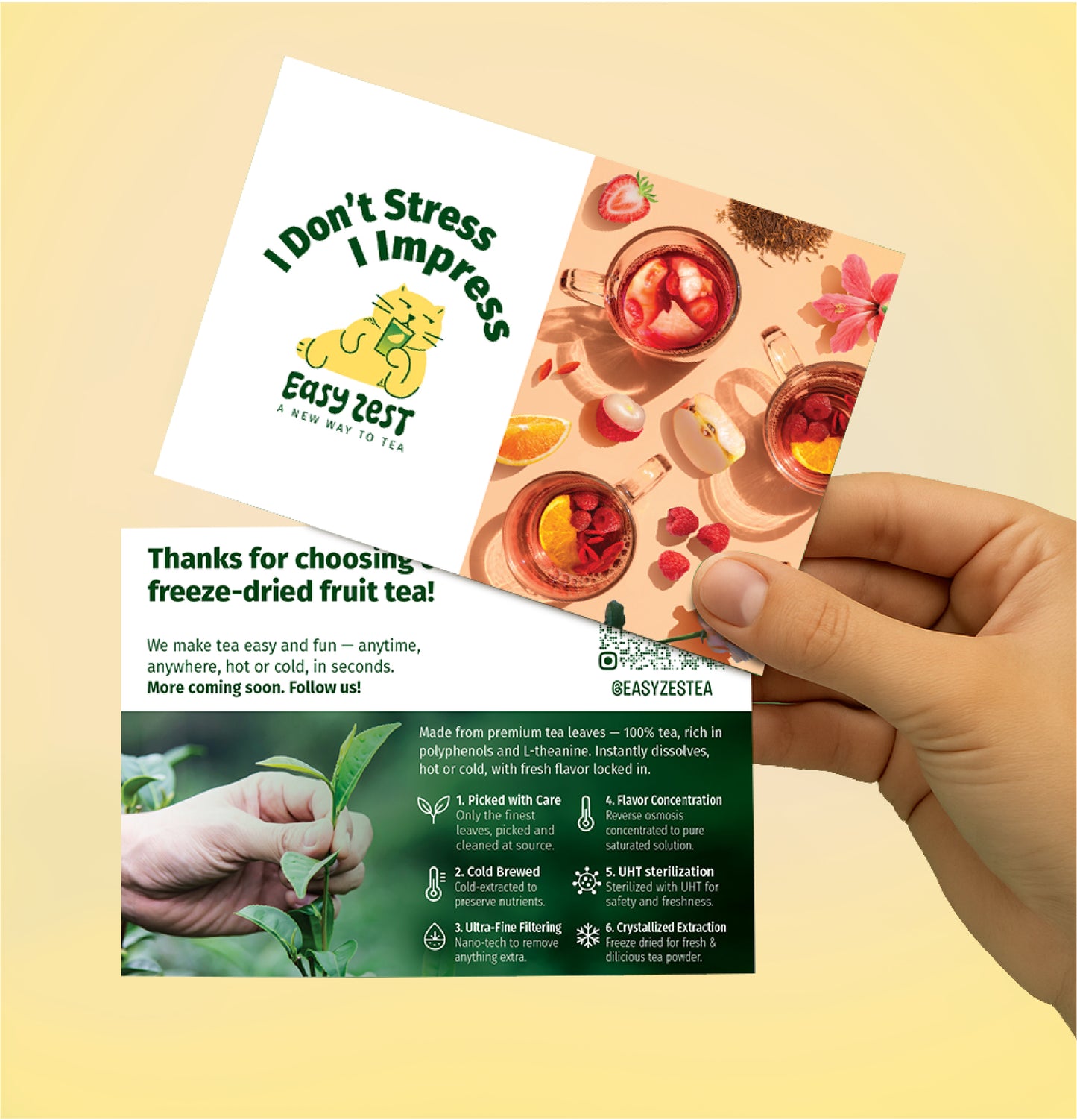 Orange Raspberry Goji Rooibos Tea (10 Sachets Box)