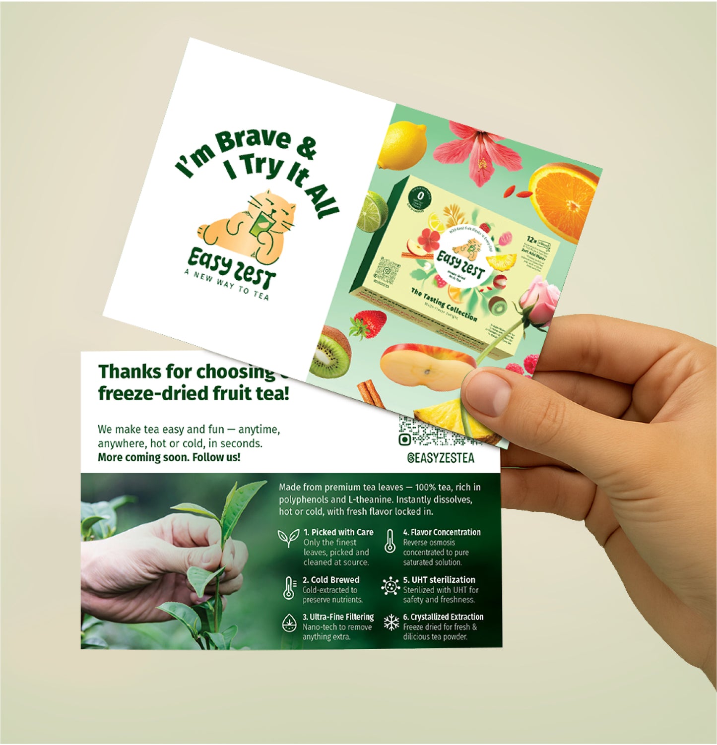 The Tasting Collection (4 Flavors, 12 Sachets Box)